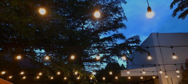 Garden Lighting Service