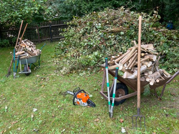Exterior Debris Removal