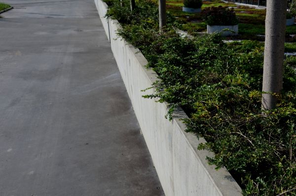 Driveway Curb Edging