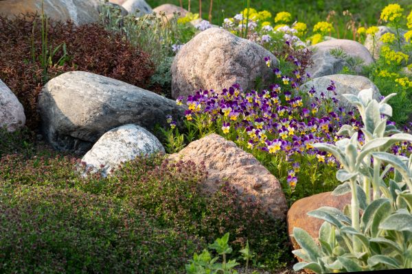 Garden Rock Placement