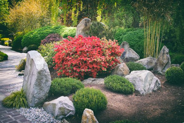 Outdoor Rock Design