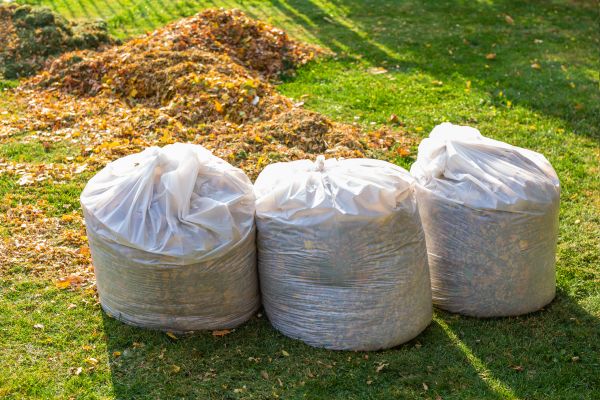 Landscaping Leaf Removal - Landscaping Leaf Removal Pearland, Texas