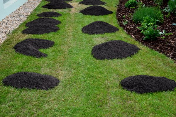 Topdressing Service