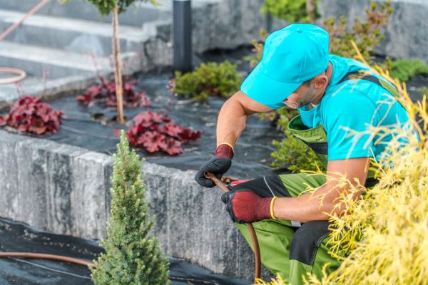 Lawn Watering System Repair