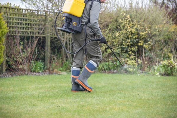 Lawn Weed Prevention - Lawn Weed Prevention Denver County, Colorado
