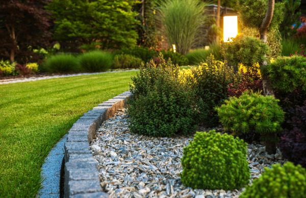 Yard Rehabilitation