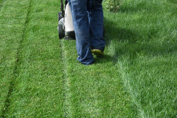 Individual Lawn Service