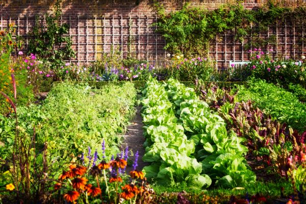 Flower Planting