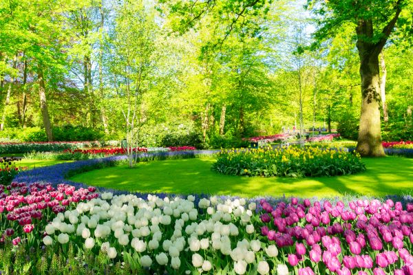 Flower Landscaping - Flower Landscaping Loveland, Colorado