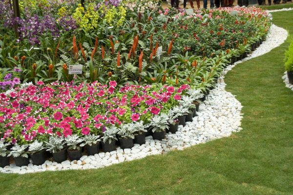 Decorative Curbing Install