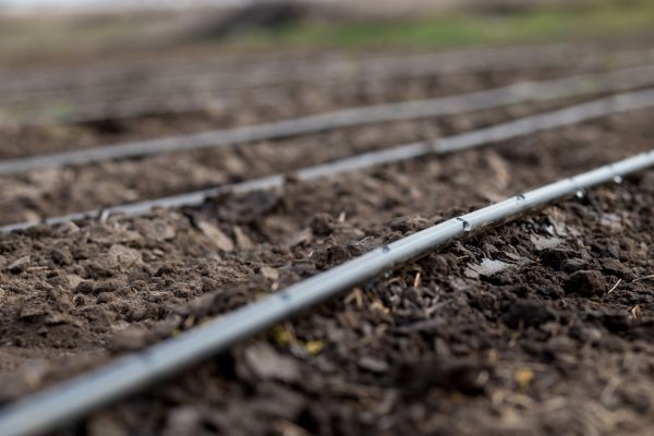Drip Line Assembly