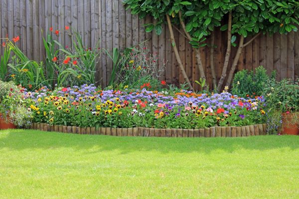 Backyard Edging