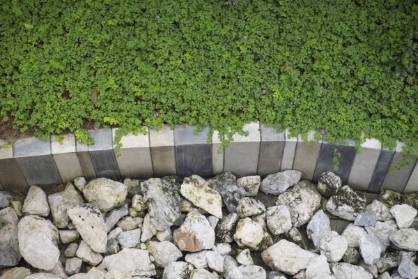 Backyard Lawn Curbing