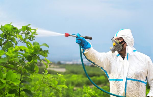 Herbicide Spraying - Herbicide Spraying Killeen, Texas