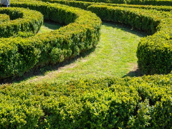 Bush Landscaping