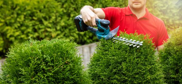 Hedge Shaping Service - Hedge Shaping Service Deltona, Florida