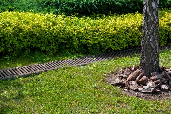 Yard Water Runoff Management