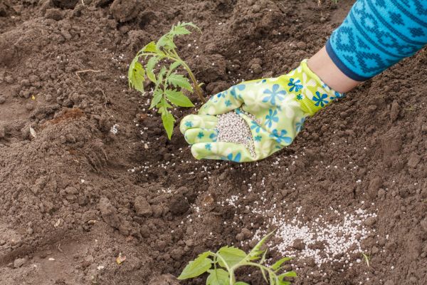 Plant Fertilizing Service - Plant Fertilizing Service Hilton Head Island, South Carolina