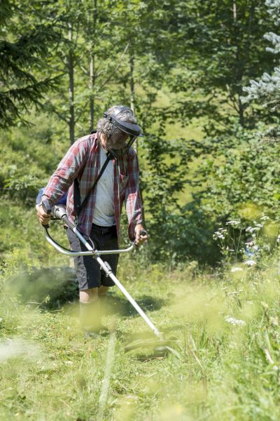 Yard Weed Trimming
