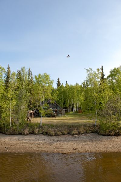 Lake Lot Clearing