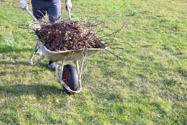 Yard Brush Removal - Yard Brush Removal Teller County, Colorado