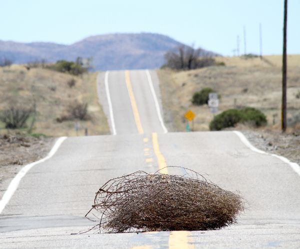 Tumbleweed Control - Tumbleweed Control Newnan, Georgia
