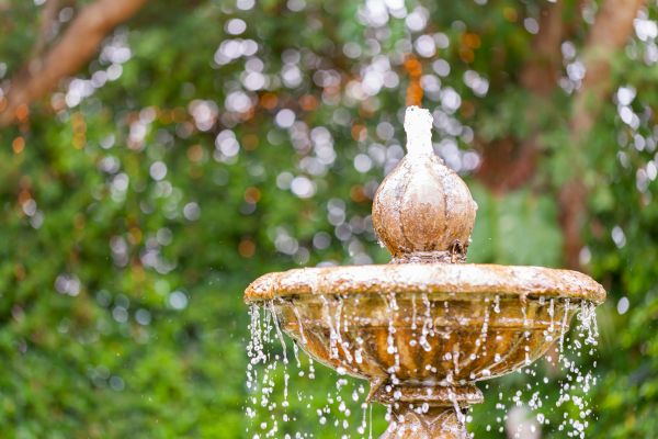 Fountain Management