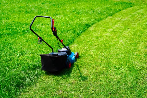 Recurring Lawn Cutting