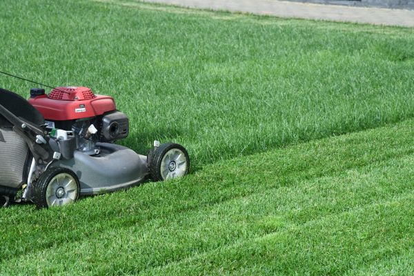 Standard Lawn Maintenance