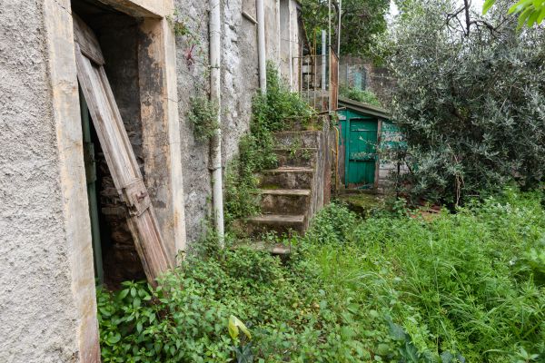 Abandoned Property Maintenance