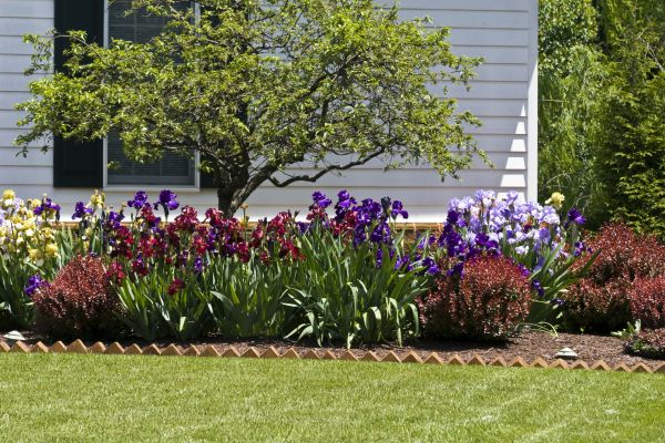 Flower Bed Planting Service