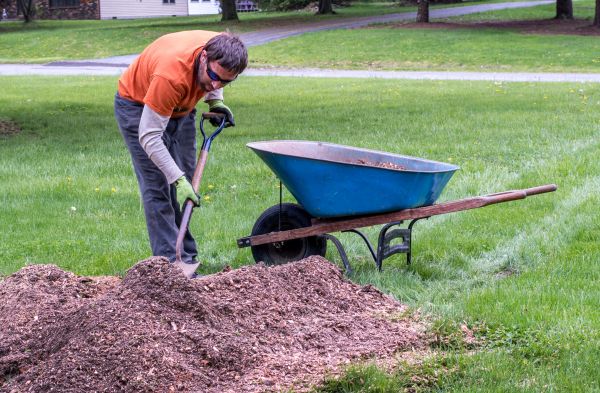 Wood Mulch Removal - Wood Mulch Removal Rochester, New York