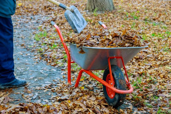 Outdoor Fall Cleaning