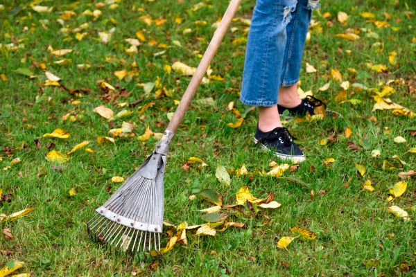 Fall Maintenance