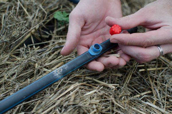 Drip Irrigation Replacement - Drip Irrigation Replacement Burbank, California