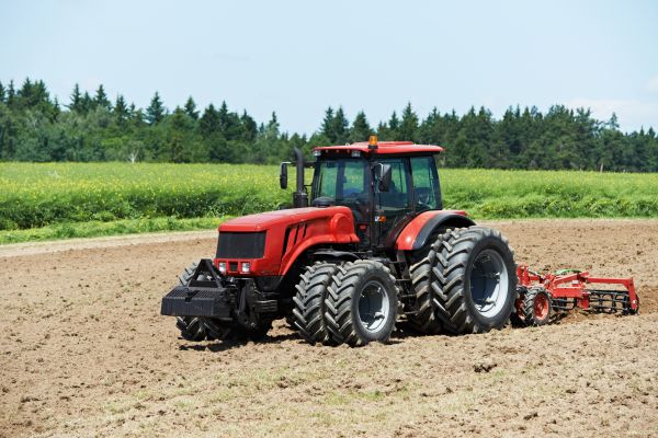 Sod Cultivation