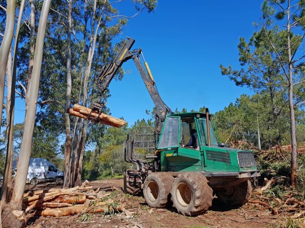 Forestry Extraction