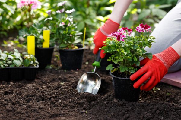 Flower Planting Installation - Flower Planting Installation Arlington, Texas