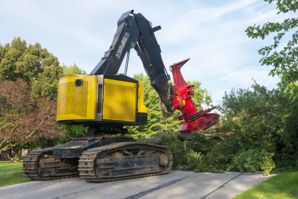 Industrial Tree Removal