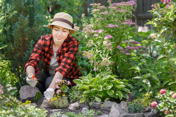 Flowerbed Weed Removal