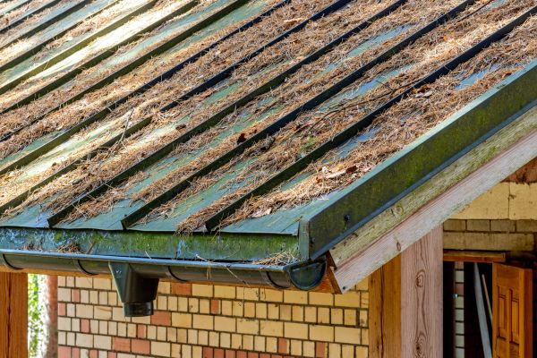 Roof Pine Needle Cleaning