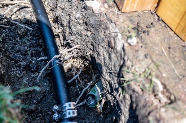 Sprinkler System Drainage