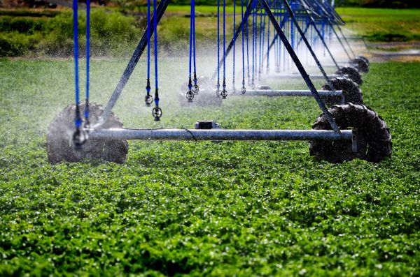 Irrigation Sprinklers Repair