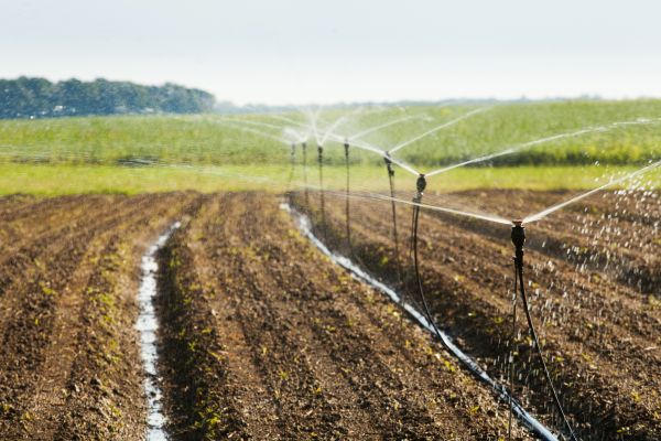Water Irrigation Repair