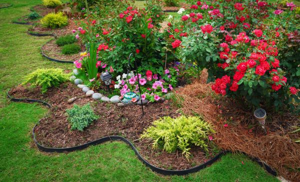 Exterior Landscape Design