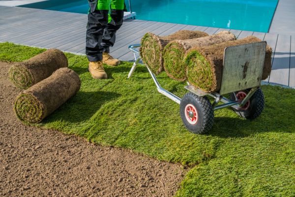 Centipede Sod Laying - Centipede Sod Laying Forney, Texas