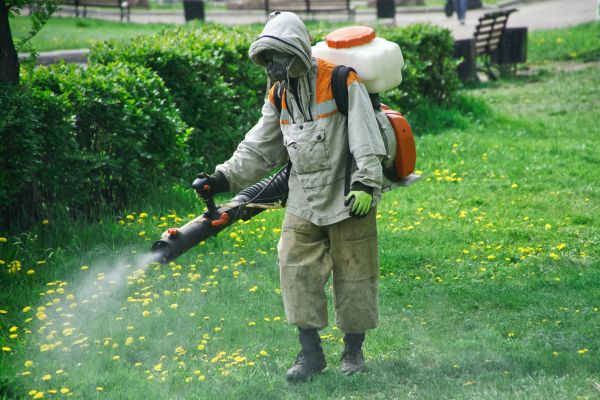 Yard Insect Treatment