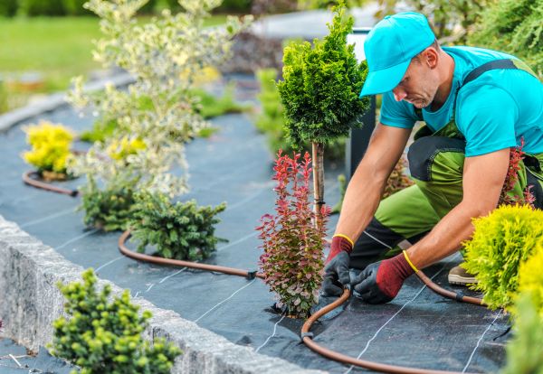 Irrigation Relocation