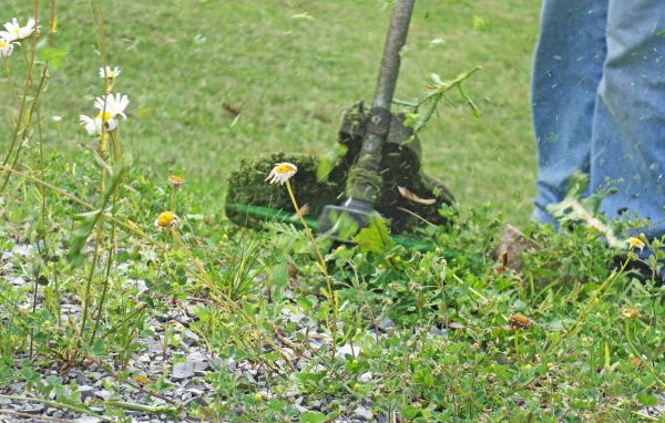 Garden Weed Treatment - Garden Weed Treatment New Bern, North Carolina