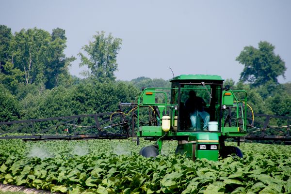 Commercial Weed Treatment